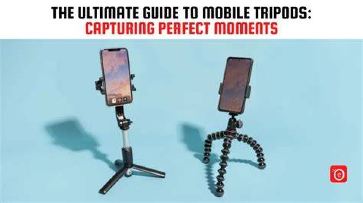 The Ultimate Guide To Capturing Perfect Pictures In Pokmon Scarlet