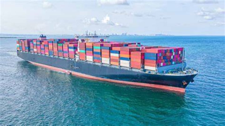 Unique Taylor Sea Logistics Operational Care SpecialistImport