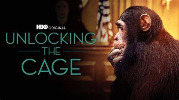 Unlocking The Cage with Zach Maslany YouTube