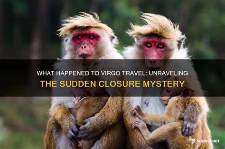 Unraveling The Mystery And Finding Closure