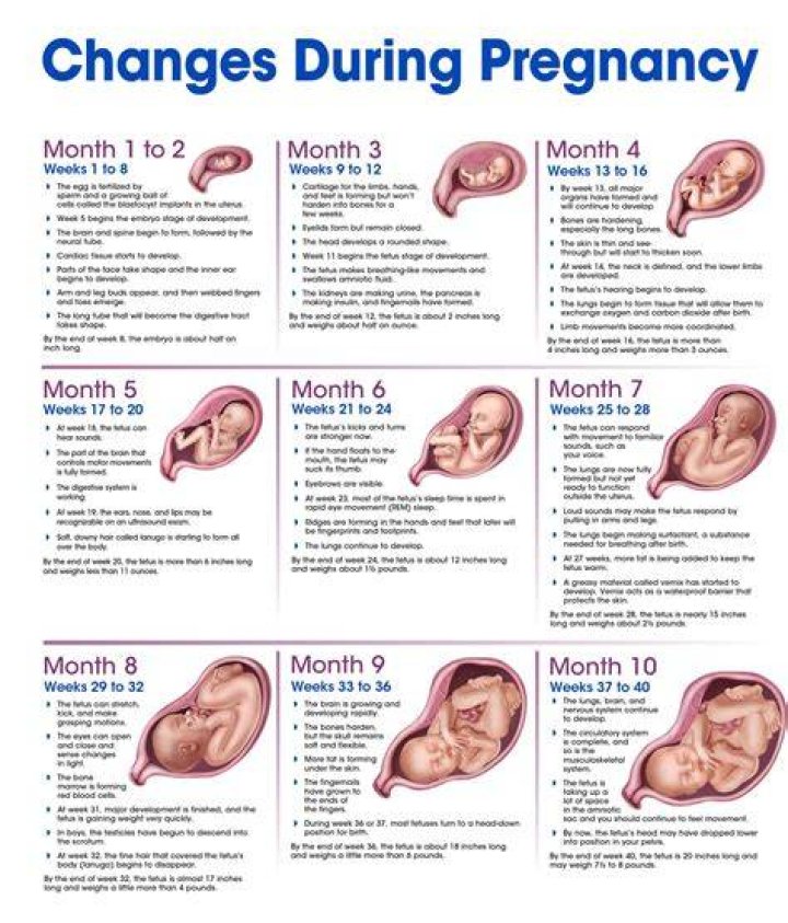Unveiling Liv Lo's Pregnancy Journey: Discoveries And Insights Await