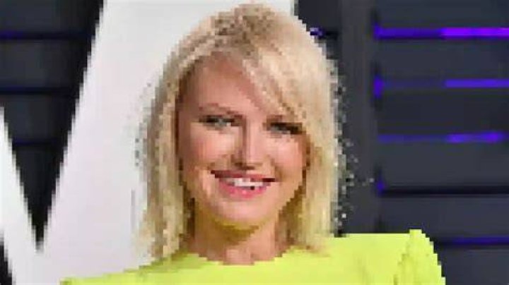 Unveiling The Charm Of Malin Akerman: A Journey Through Her Career