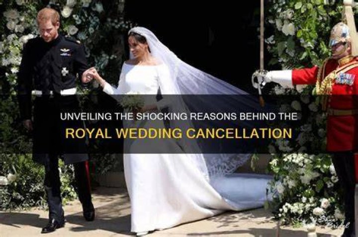Unveiling The Reasons Behind Elle Darby's Wedding Cancellation