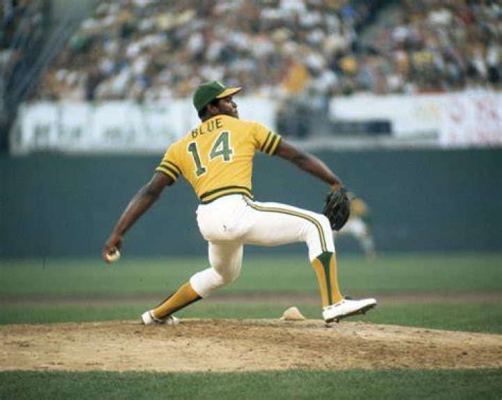 Vida Blue Wife