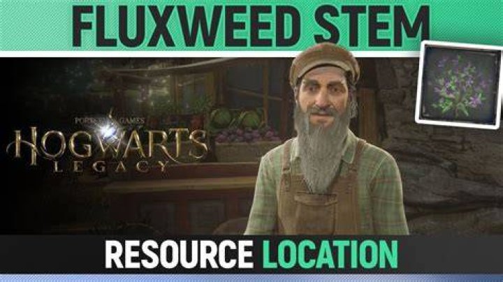 Where to Get Fluxweed Stem in Hogwarts Legacy Games Lantern