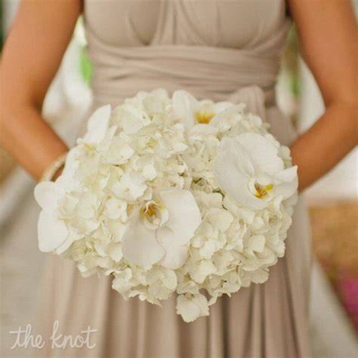 White Orchid and Hydrangea Bridesmaid Bouquet