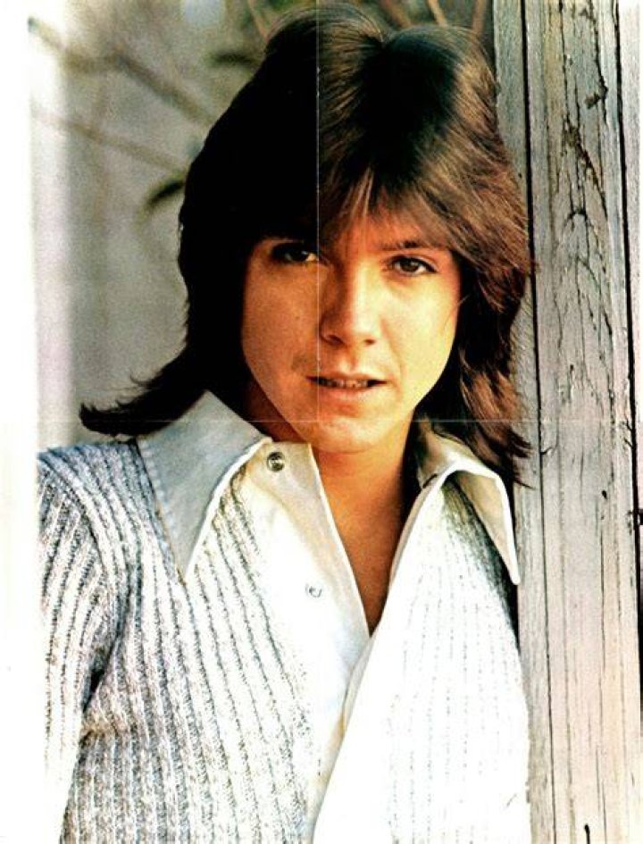 Who is David Cassidy&rsquo;s son Beau Cassidy from &ldquo;The Voice&rdquo;? Wiki Cousins