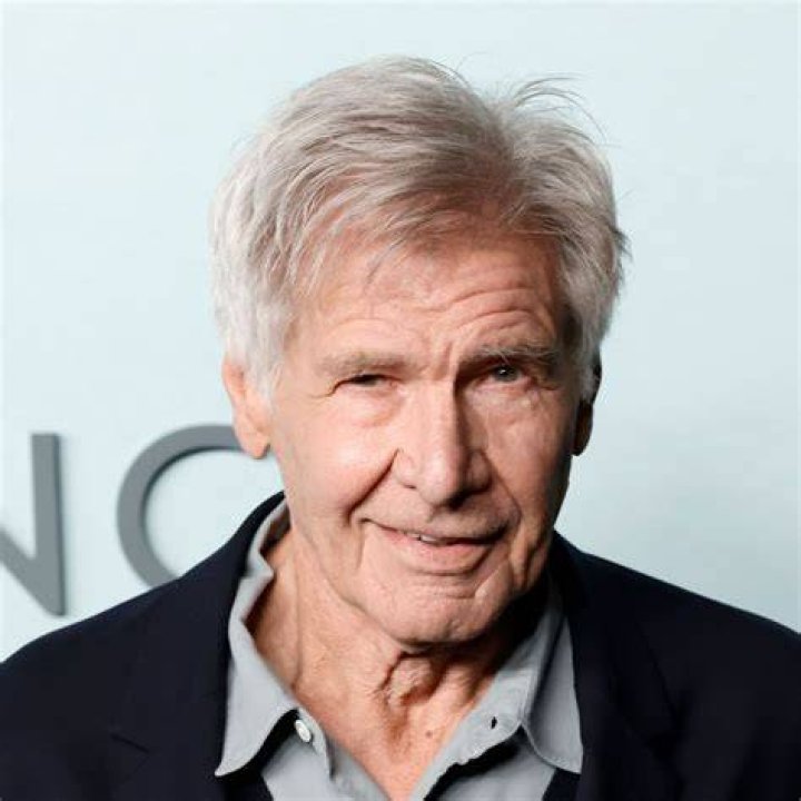 Who is Harrison Ford's wife, Calista Flockhart? The US Sun