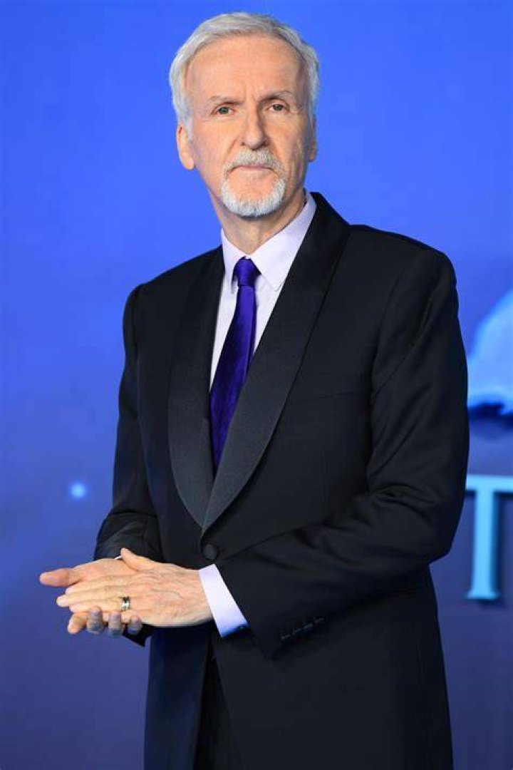 Who Is James Cameron's Wife? All About Suzy Amis Cameron
