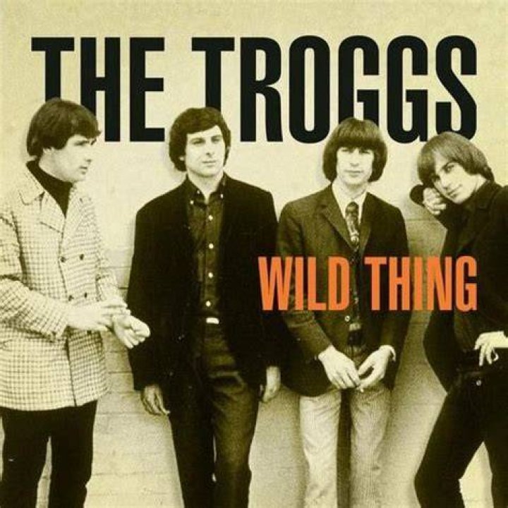 Wild Thing, by The Byrds lyrics with pdf
