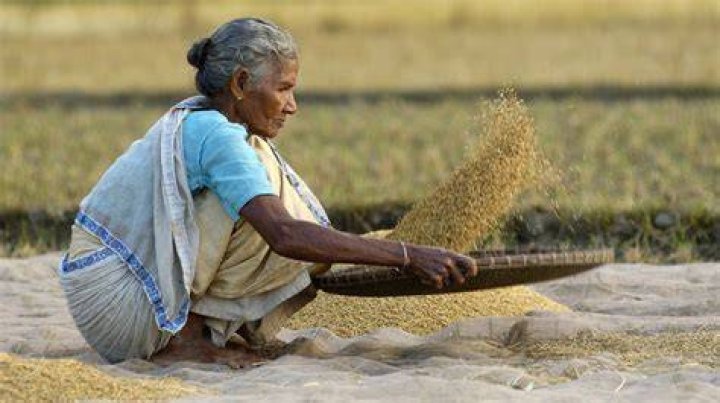 Winnowing Life on Earth Pictures