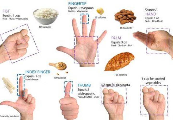 Your guide to serving sizes 9Coach