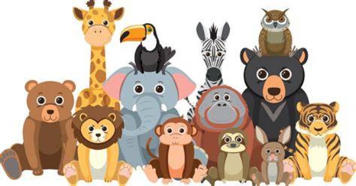 Zoo animals group in flat cartoon style 8683866 Vector Art at Vecteezy