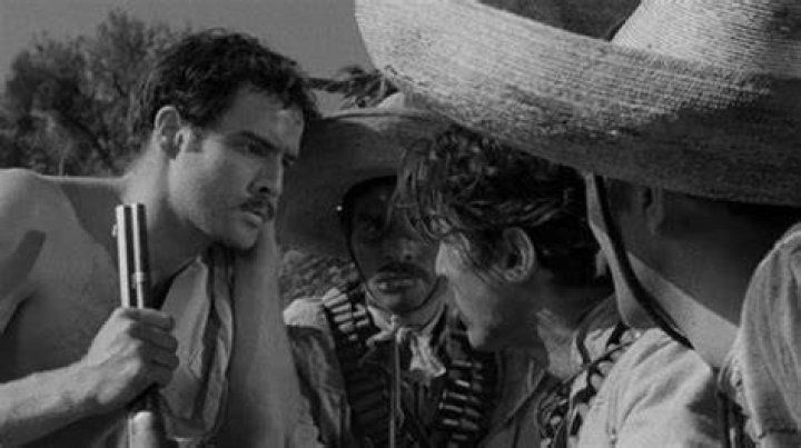 革命児サパタ 解説・レビュー・評価 映画ポップコーン